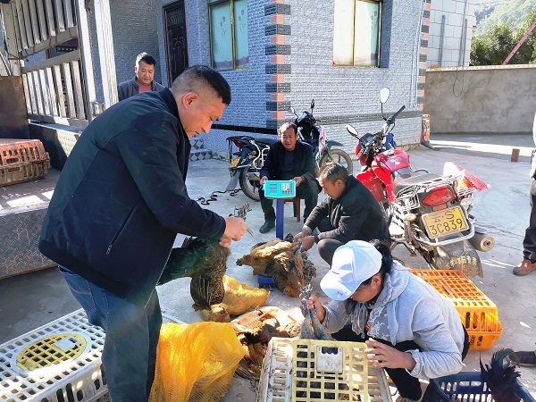 漫灣電廠突出“早”字抓實消費幫扶